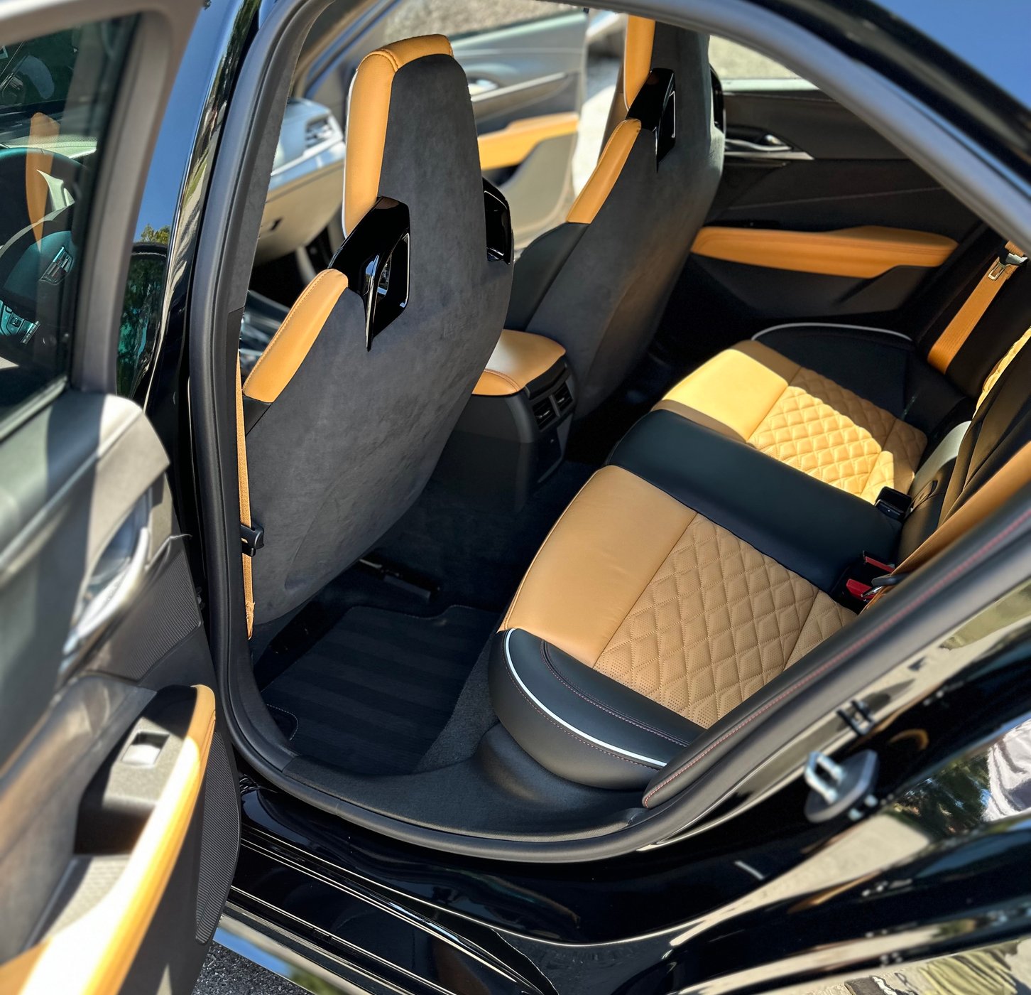 Interior car detailing in Vineland Ontario
