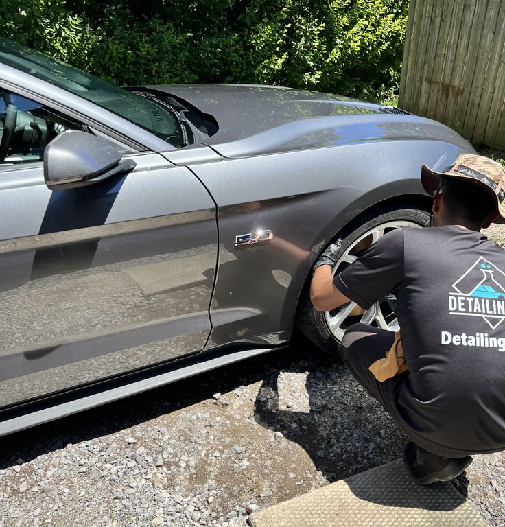 Mustang GT muscle car with showroom shine after paint protection treatment